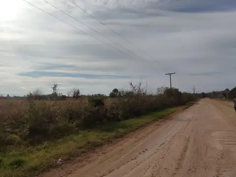 Campo en venta de 7,87 hectáreas en Ibarlucea, ubicado sobre RP34-S, zona de expansión con excelente conectividad y alto potencial de revalorización.