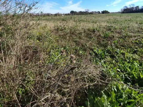 Campo en venta de 78745m2 ubicado en Ibarlucea