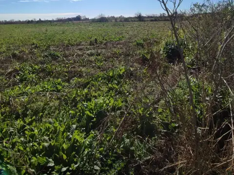 Campo en venta de 7,87 hectáreas en Ibarlucea, ubicado sobre RP34-S, zona de expansión con excelente conectividad y alto potencial de revalorización.