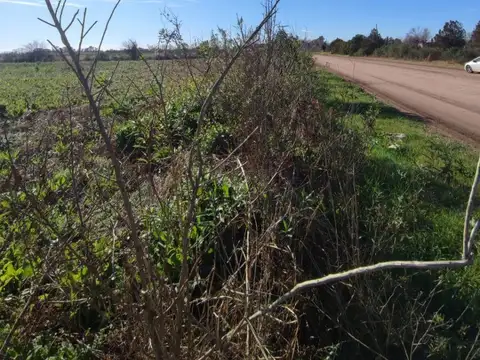 Campo en venta de 7,87 hectáreas en Ibarlucea, ubicado sobre RP34-S, zona de expansión con excelente conectividad y alto potencial de revalorización.