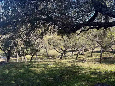 Terreno en Venta en Santa Rosa de Calamuchita, USD 58.000