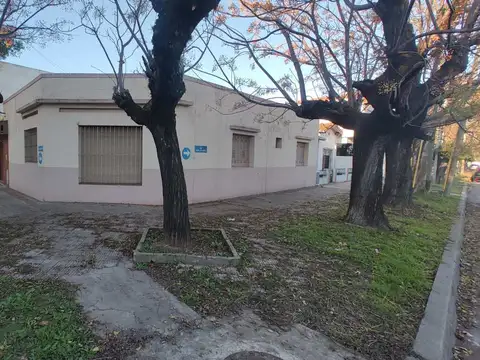 San Lorenzo 2900