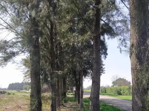 Terreno en Venta 10  mts Frente