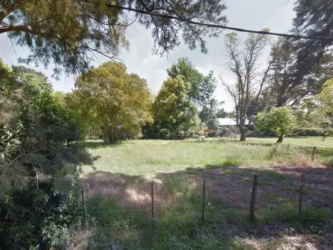 Terreno en venta - 338 mts2 - Arturo Seguí