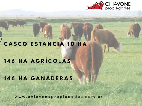 Campo en Venta de 446  ha