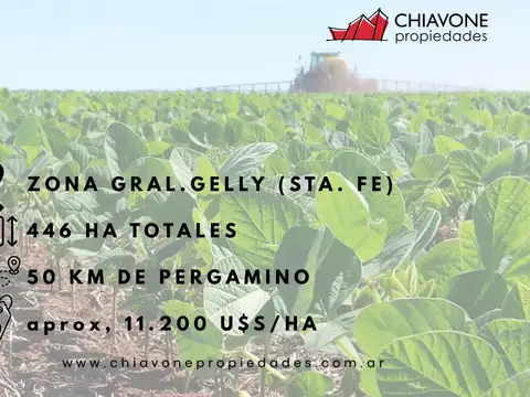 Campo en Venta en General Gelly, Constitución