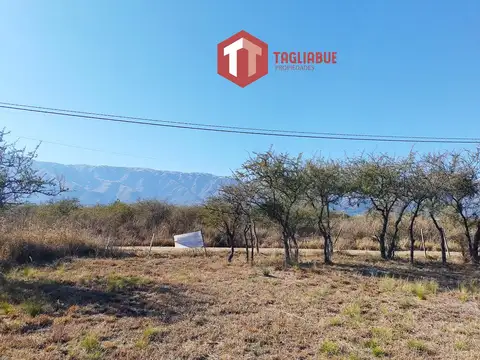 Terreno en Venta 37  mts Fondo