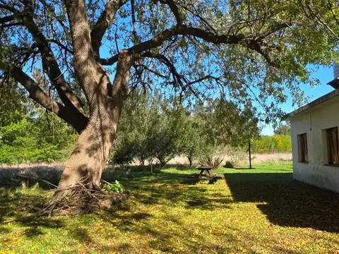 Finca - La Plata