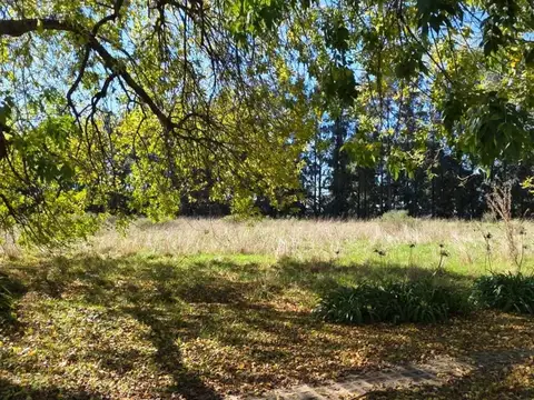 Finca - La Plata