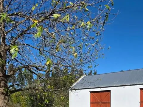 Finca - La Plata