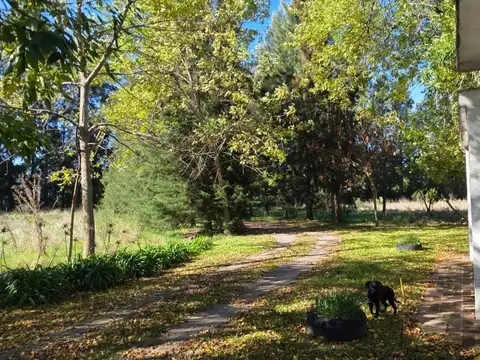 Finca - La Plata