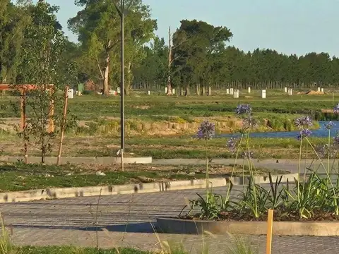 Terreno en Venta de 818,0 m2