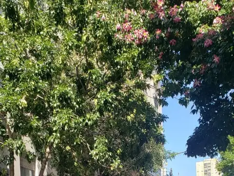 Cochabamba 900 , Piso 6