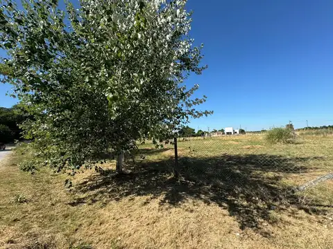 EL AMPARO