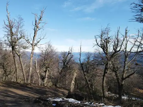 Terreno en Venta en San Martin de los Andes, USD 190.000