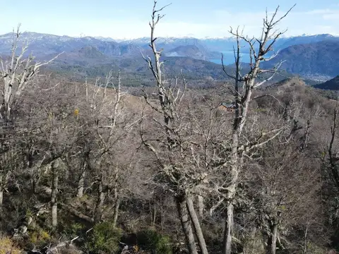 Lote  en Venta en San Martin de los Andes, Patagonia, Argentina