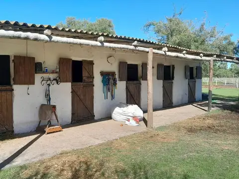 VENTA-HARAS-QUINTA-5HAS-CHASCOMÚS