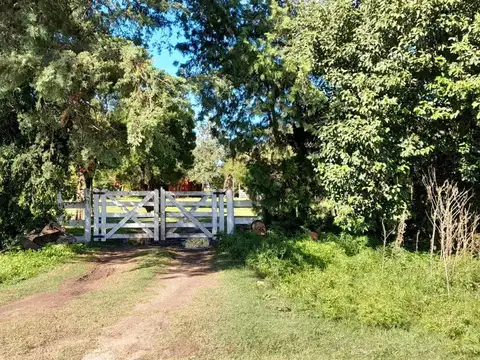 VENTA-HARAS-QUINTA-5HAS-CHASCOMÚS