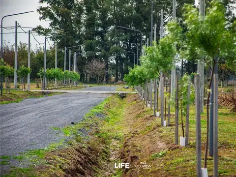 VENTA - LOTE 300mt - ECO VIDA, VILLA AMELIA