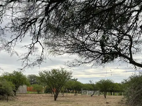 LAS MAGNOLIAS