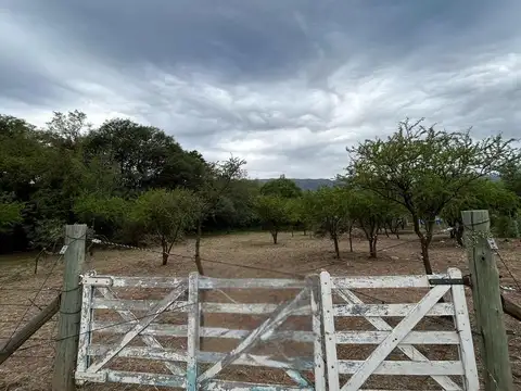 LAS MAGNOLIAS