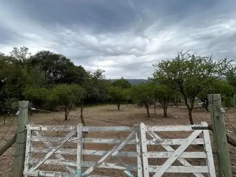 Terreno en Venta 31  mts Frente