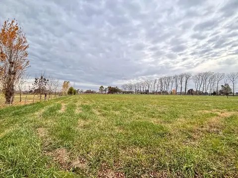 Terreno en venta 5000m2, Haras el Malacate