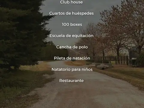 Terreno en Venta 50  mts Frente