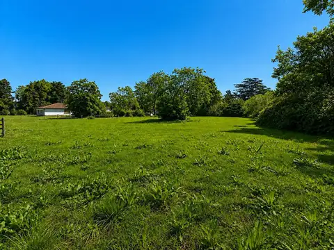 Terreno en Venta de 1931,0 m2