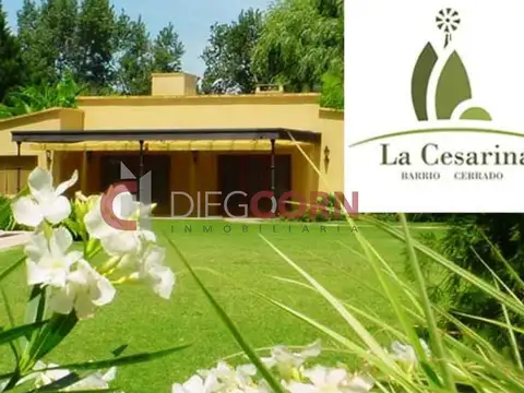 Terreno en Venta de 800,0 m2