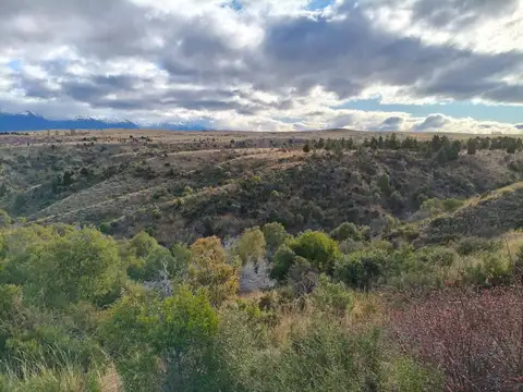 TERRENO EN TREVELIN UNA HA. EN LEGUA 7