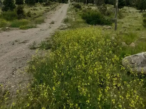 Terreno en Venta en Esquel, USD 36.000