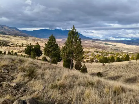 Terreno en Venta de 10000,0 m2