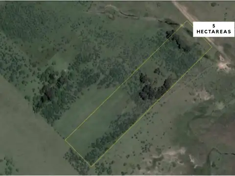 Campo 5 Ha, Villa Elisa, Entre Ríos.