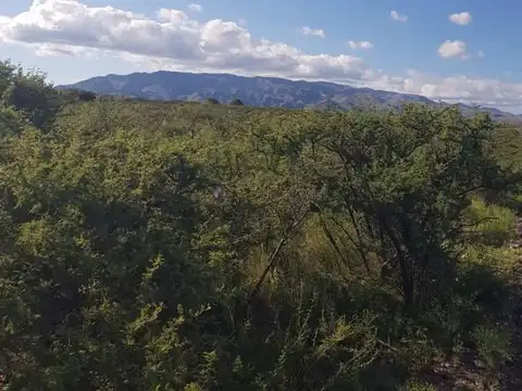 Terreno en Venta de 50000,0 m2