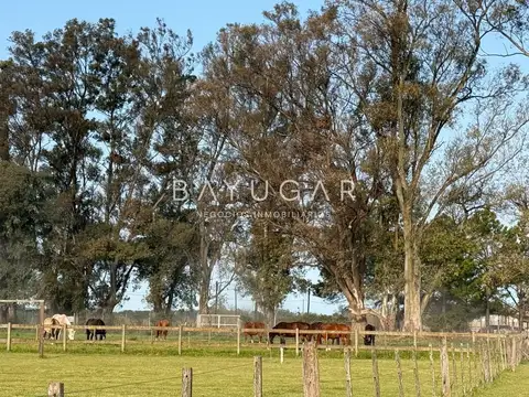 Terreno en Venta de 5000,0 m2