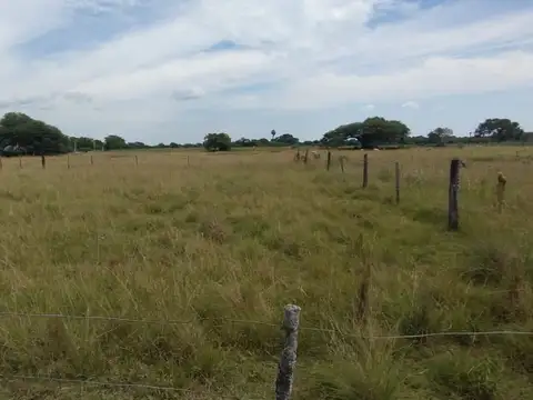 Aníbal Vera