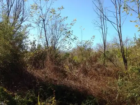 Terreno en Venta de 14300,0 m2