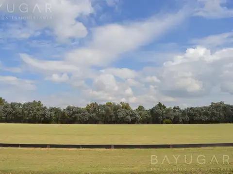 Terreno en Venta de 2117,0 m2