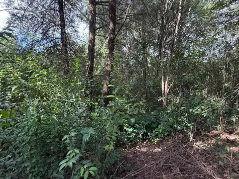 Terreno en Venta en Las Rabonas, USD 55.000