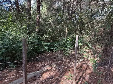 Terreno en Venta de 5590,0 m2