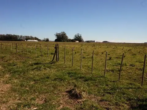 Campo 4 hectáreas / Miramar, Gral. Alvarado