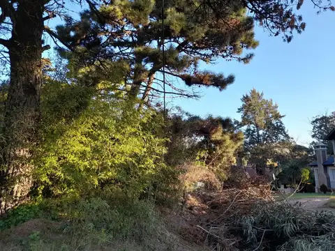 Terreno en Venta, FOT 8