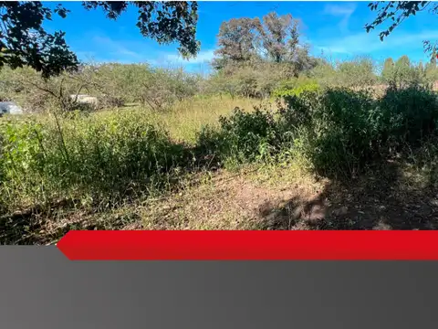 Ruta Provincial S444 100