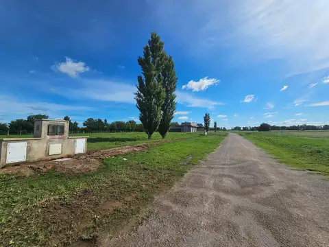 Terreno en Venta 50  mts Fondo