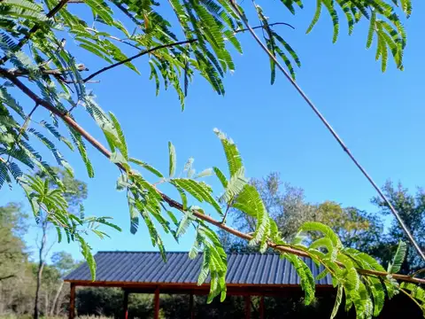 Quinta en Venta 5 años