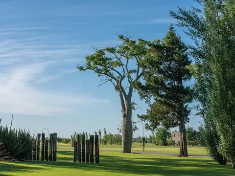 TERRENO VENTA 1.036 MTS2 LA RINCONADA IBARLUCEA