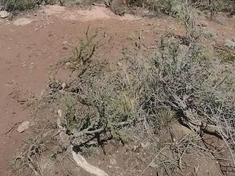 Terreno en Venta en Cacheuta, USD 50.000