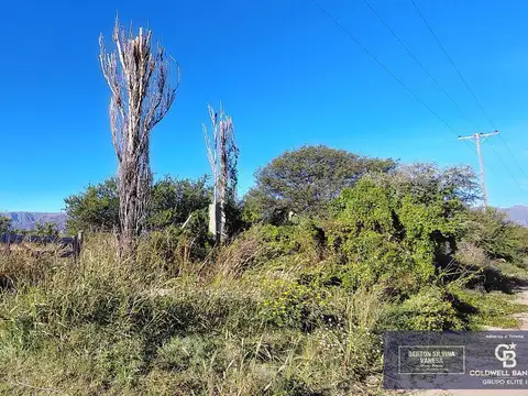 Terreno comercial en Nogoli