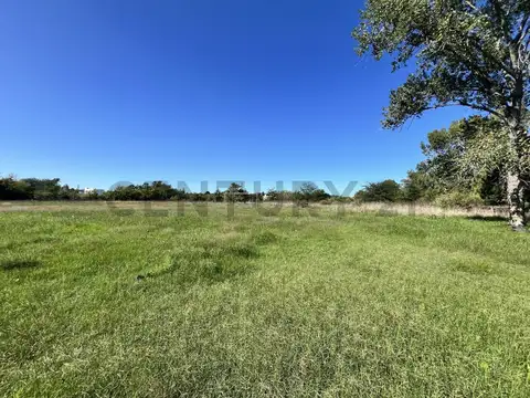 135 y 433 bis 5100, Piso 0